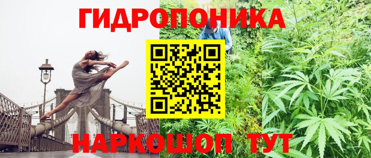 Канабис Ganja  Вход с VPN  Пушкино  МАРИХУАНА гибрид 